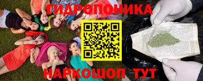 apvp Шелехов