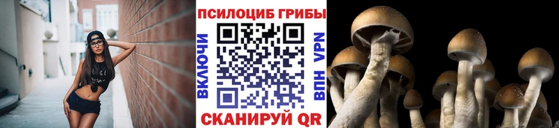 Псилоцибиновые грибы мицелий  MEGA сайт  Лиски 