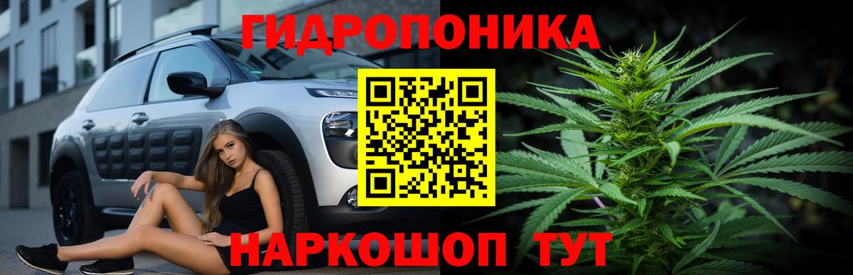 Канабис OG Kush  Шишки марихуана тримм  Вход с VPN  Бошки марихуана Ganja  Лиски 